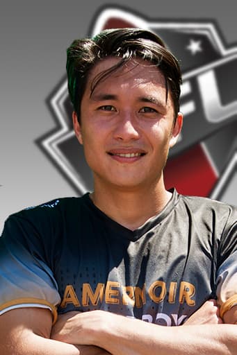 Vincent Naulet player card