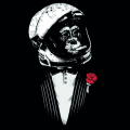 Space Apes team logo