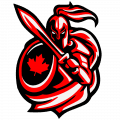Titans team logo