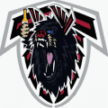 28-3 team logo