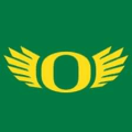 Ducks team logo