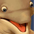 Fins Up team logo