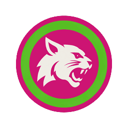 Wildcats team logo