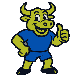 Bullseye team logo