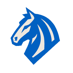 Mavericks team logo