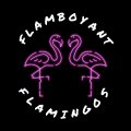Flamboyant Flamingos team logo