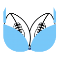 Nice TDs team logo