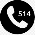 Team 514 team logo